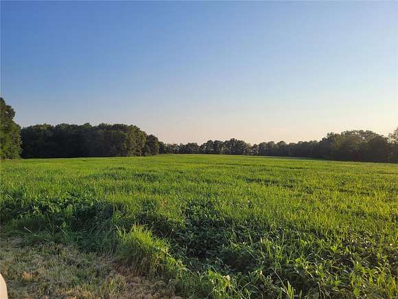 85.69 Acres of Land for Sale in Bellflower, Missouri