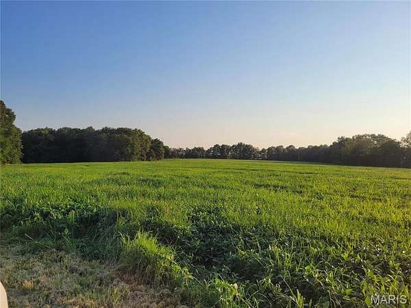 85.7 Acres of Land for Sale in Bellflower, Missouri