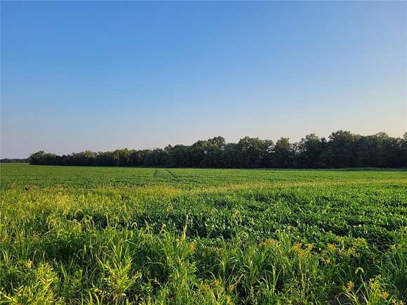 123 Acres of Land for Sale in Bellflower, Missouri