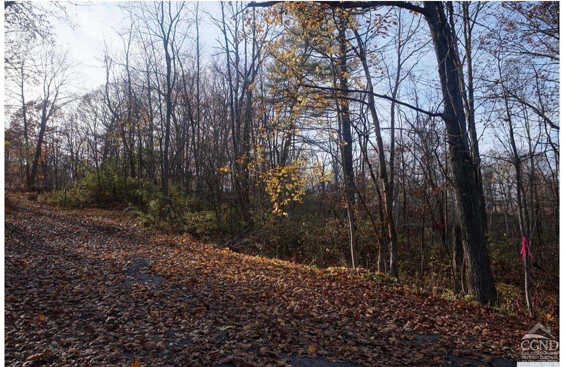 2 Acres of Residential Land for Sale in Catskill, New York