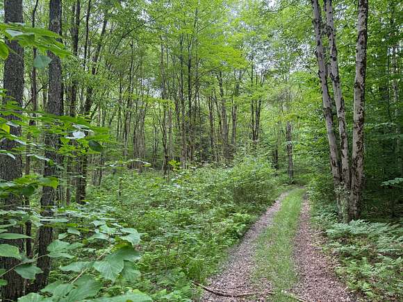 5.1 Acres of Recreational Land for Sale in Florence, New York