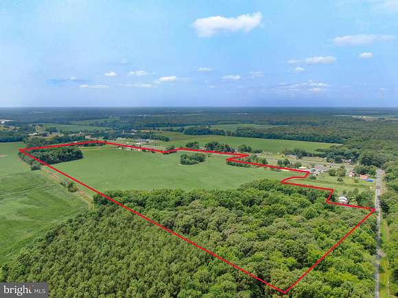 42.3 Acres of Agricultural Land for Sale in Greenwood, Delaware