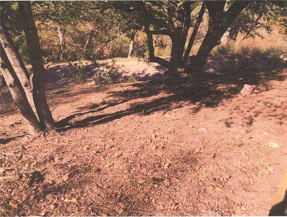 0.312 Acres of Land for Sale in Lake Arrowhead, California