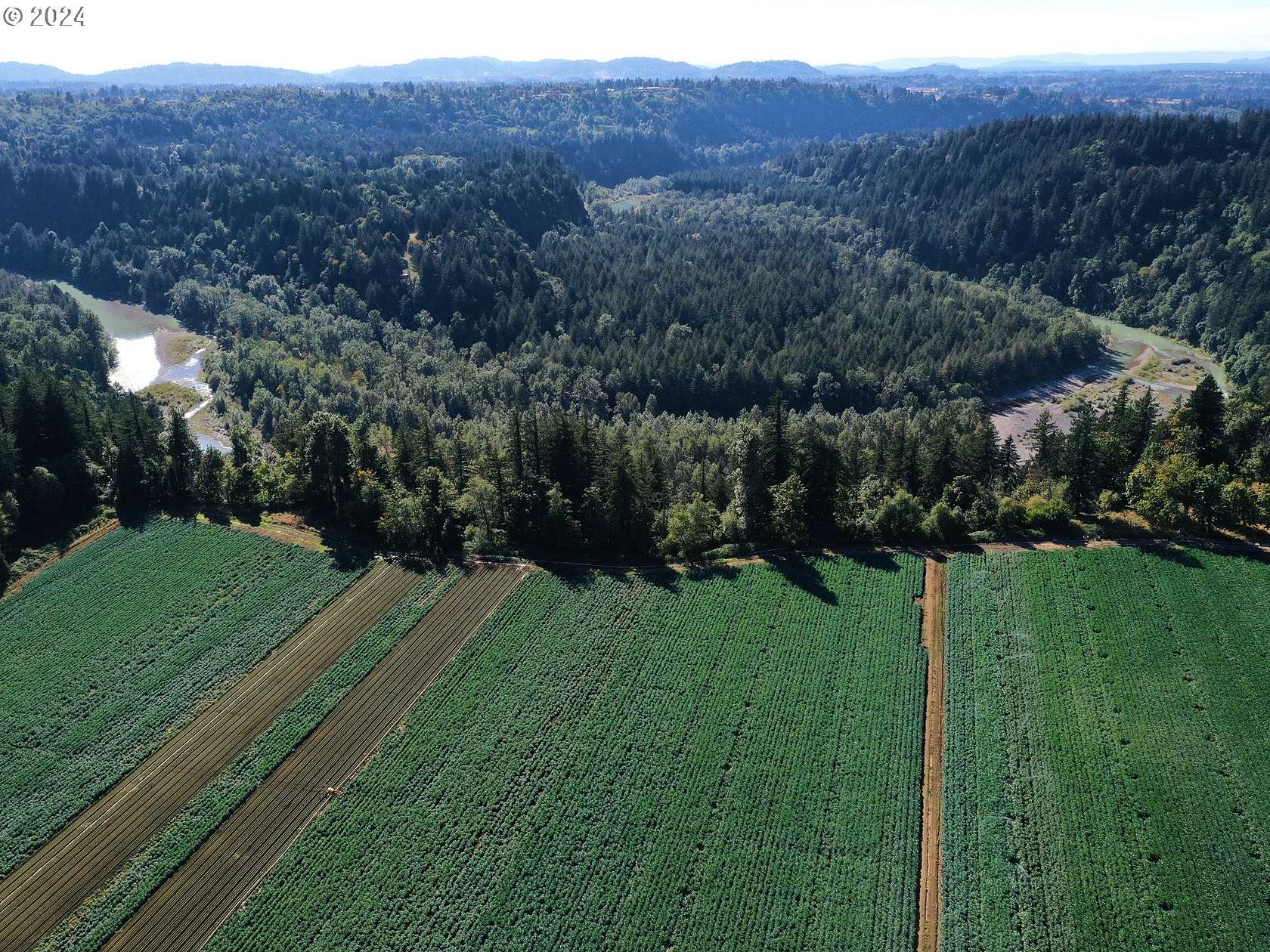 45.36 Acres of Agricultural Land for Sale in Corbett, Oregon