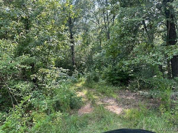 3.76 Acres of Land for Sale in Lowndesboro, Alabama