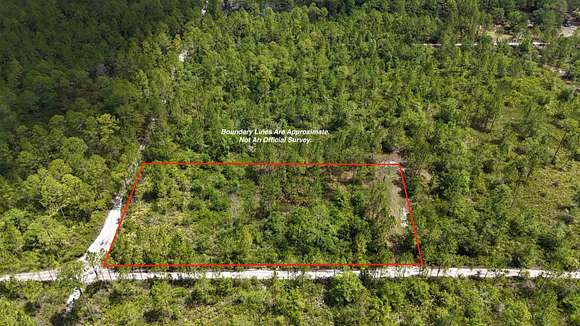 1.25 Acres of Residential Land for Sale in Satsuma, Florida