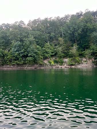 2.5 Acres of Land for Sale in Houston, Alabama