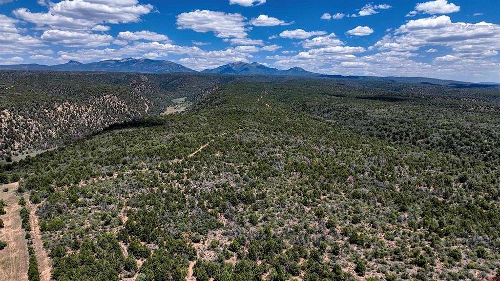 916 Acres of Land for Sale in Hesperus, Colorado