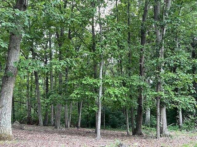 13.89 Acres of Land for Sale in York, South Carolina