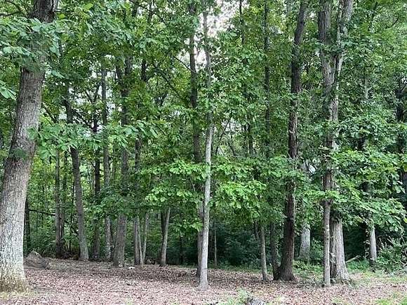 13.89 Acres of Land for Sale in York, South Carolina