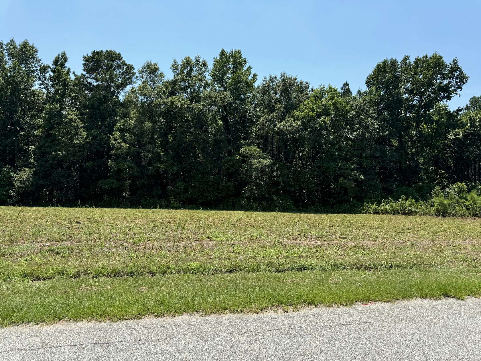 12.74 Acres of Recreational Land for Sale in Santee, South Carolina