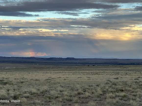 80 Acres of Agricultural Land for Sale in Holbrook, Arizona