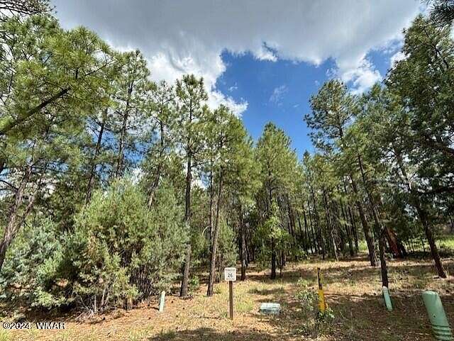 0.44 Acres of Residential Land for Sale in Show Low, Arizona