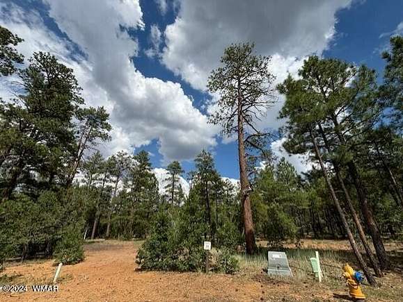 0.54 Acres of Residential Land for Sale in Show Low, Arizona