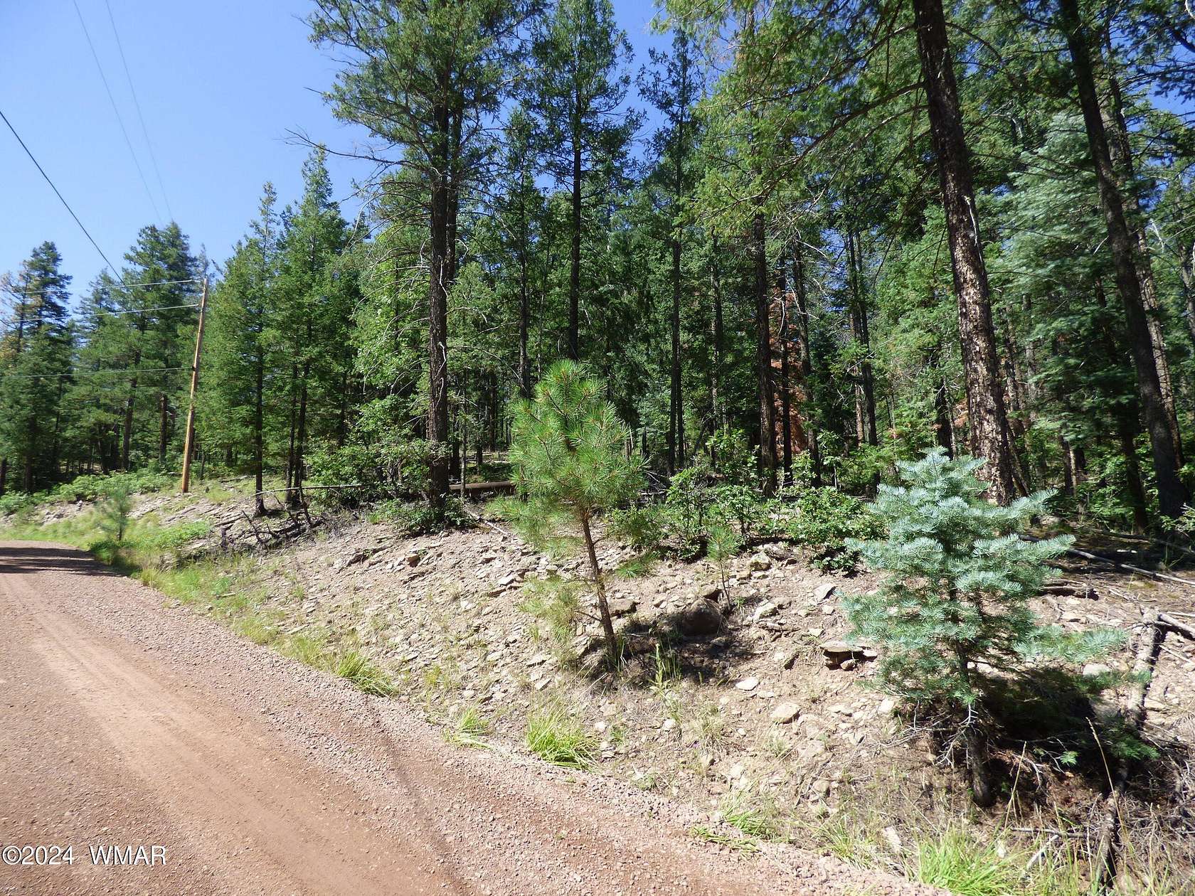 0.79 Acres of Residential Land for Sale in Alpine, Arizona