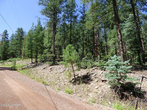 0.79 Acres of Residential Land for Sale in Alpine, Arizona