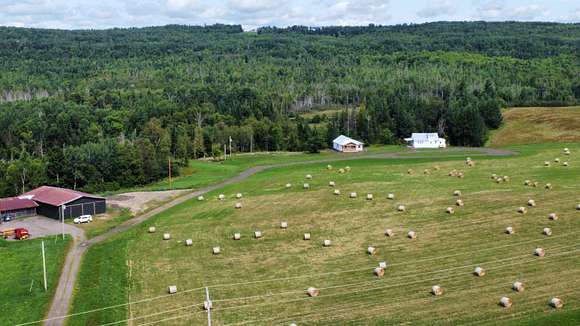 15 Acres of Recreational Land with Home for Sale in Oakfield, Maine