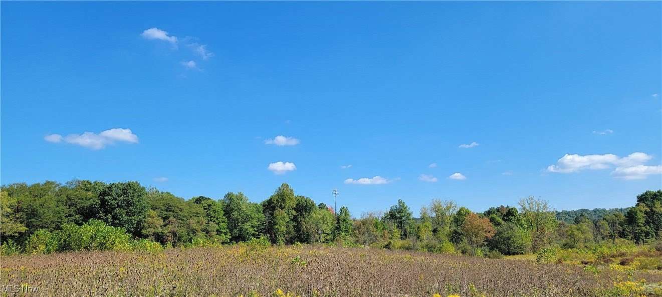 2.01 Acres of Residential Land for Sale in North Royalton, Ohio