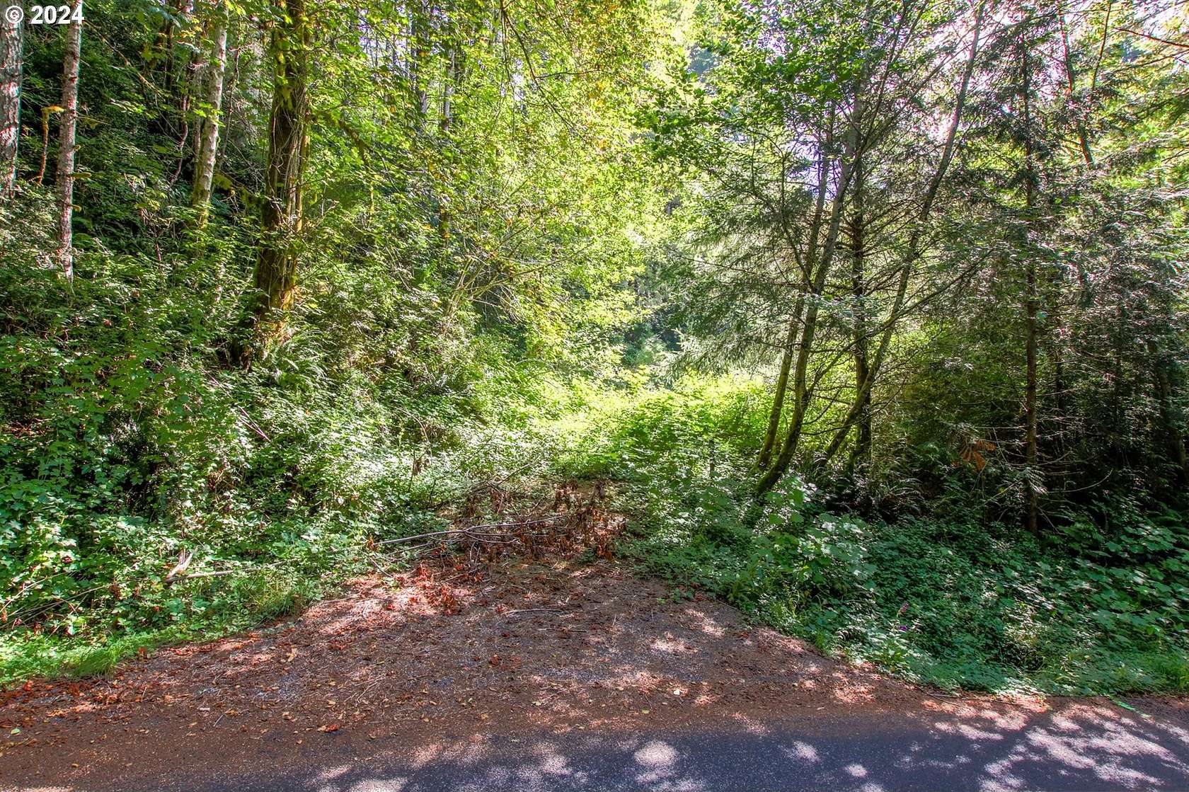 2.22 Acres of Residential Land for Sale in Florence, Oregon