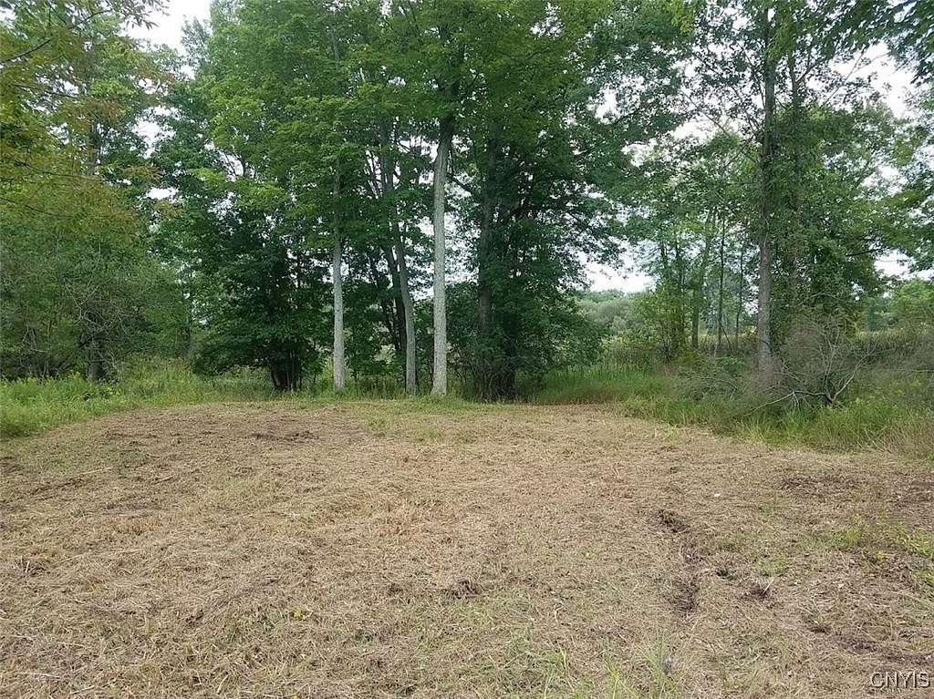 0.8 Acres of Residential Land for Sale in Alexandria Town, New York