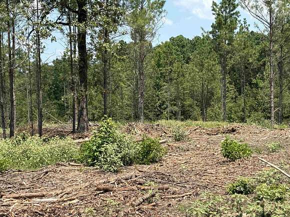 3.5 Acres of Residential Land for Sale in Sheridan, Arkansas