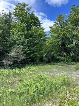 1.4 Acres of Land for Sale in Goetzville, Michigan