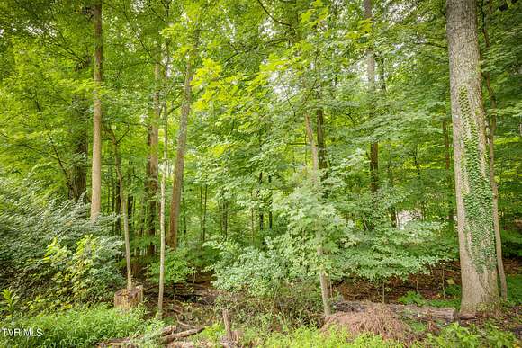 0.5 Acres of Residential Land for Sale in Kingsport, Tennessee