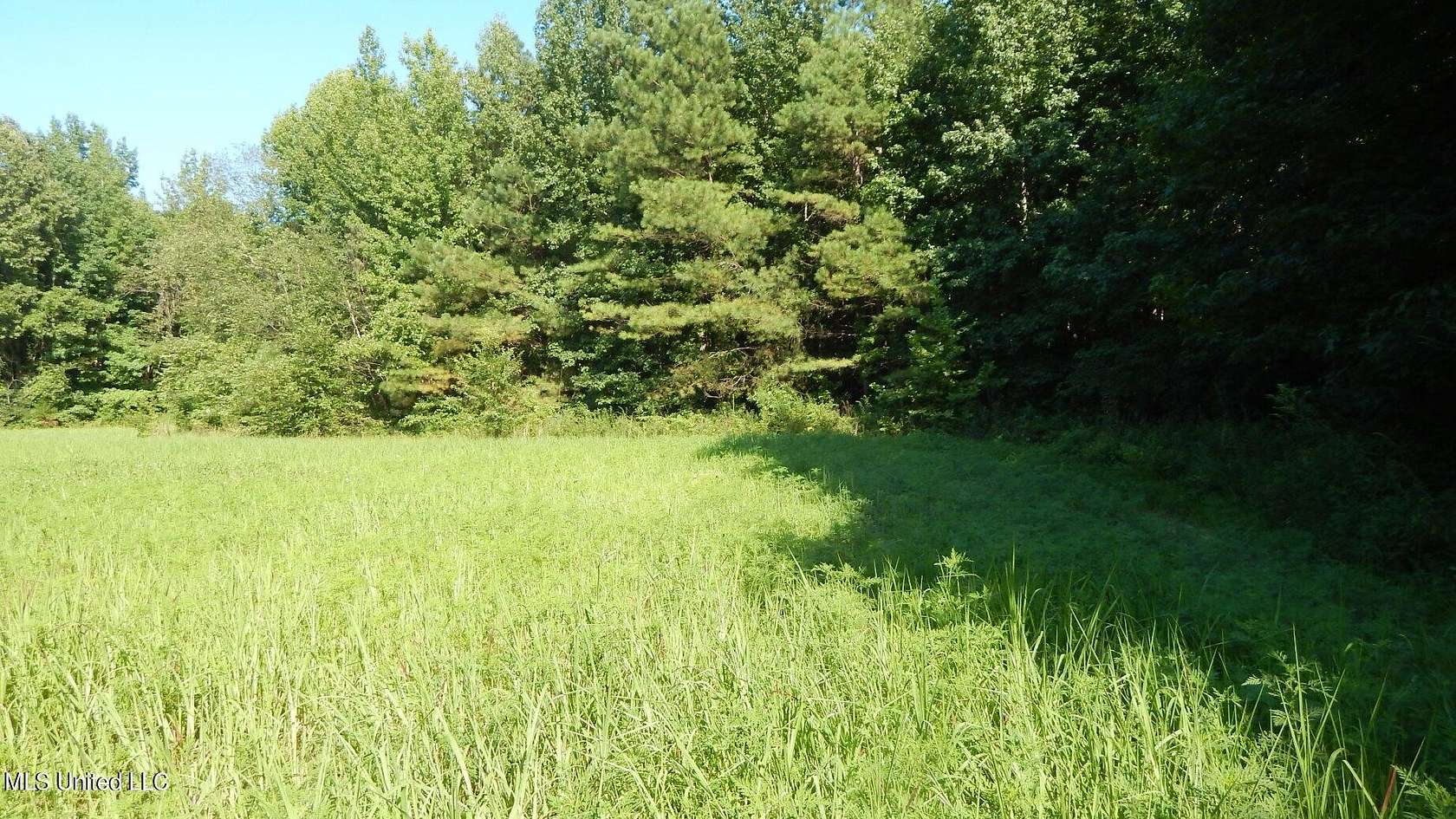 7.27 Acres of Land for Sale in Byhalia, Mississippi