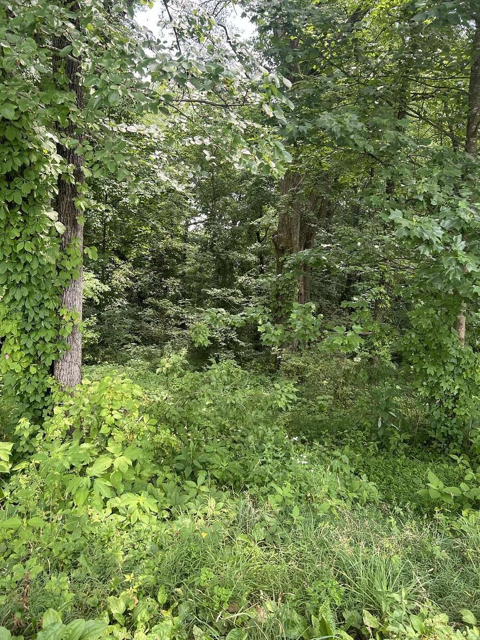 1.67 Acres of Land for Sale in Corbin, Kentucky