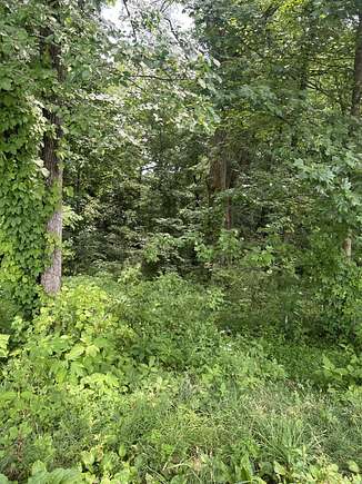 1.67 Acres of Land for Sale in Corbin, Kentucky