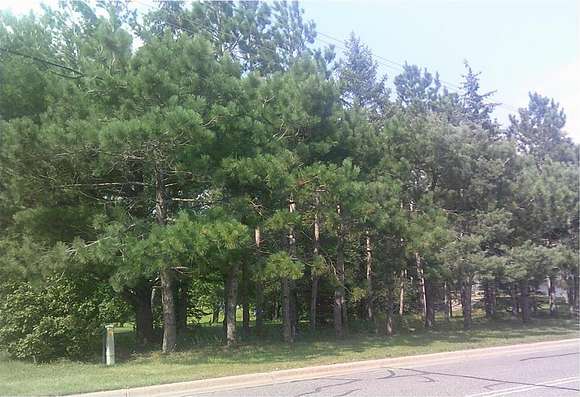 0.57 Acres of Residential Land for Sale in Big Lake, Minnesota