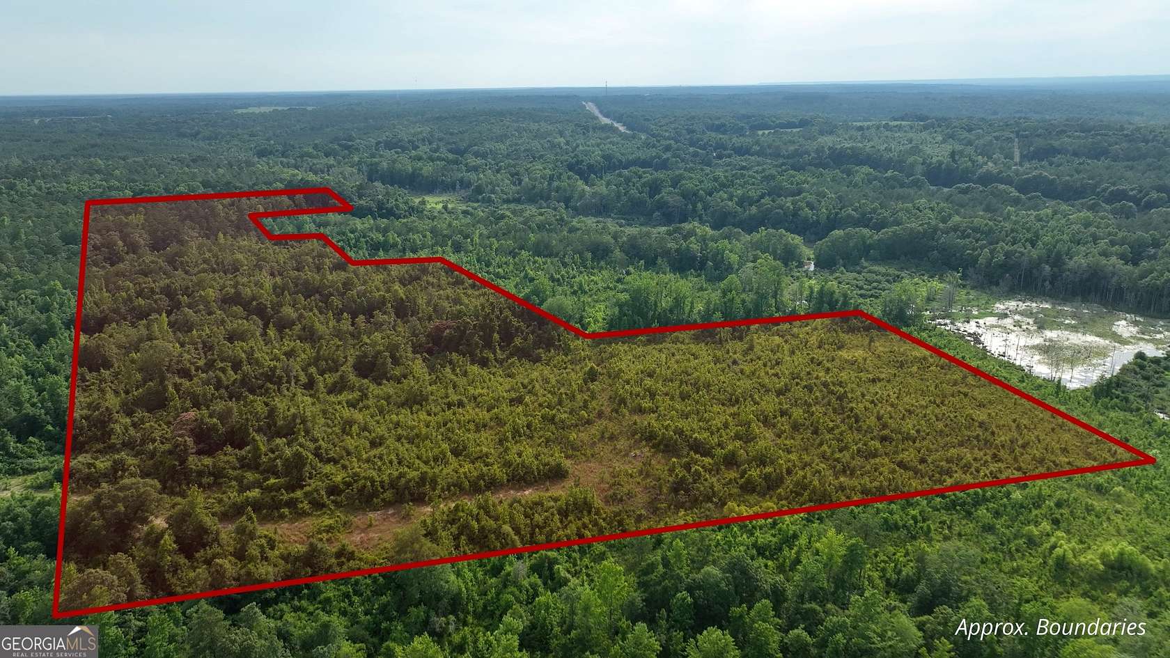 63.5 Acres of Recreational Land for Sale in Tuskegee, Alabama