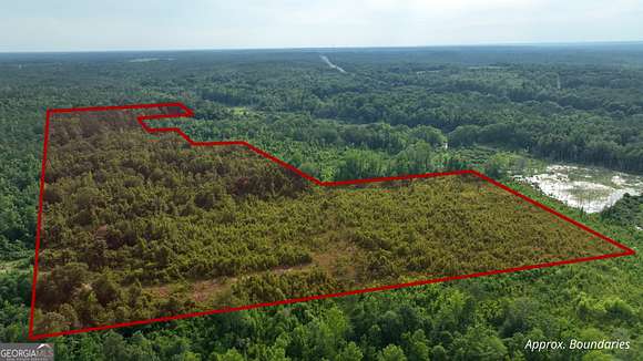 63.5 Acres of Recreational Land for Sale in Tuskegee, Alabama