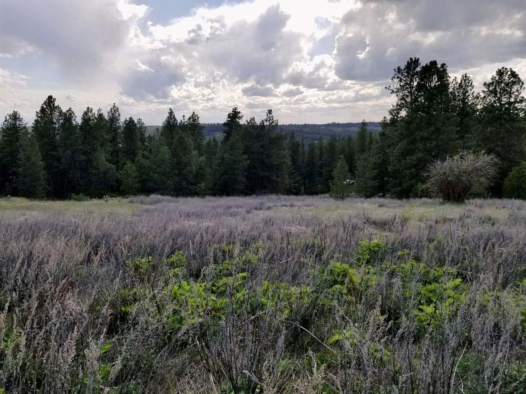 7.83 Acres of Residential Land for Sale in Valleyford, Washington