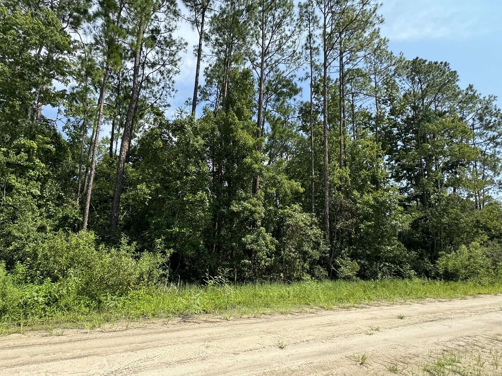 0.23 Acres of Residential Land for Sale in Satsuma, Florida