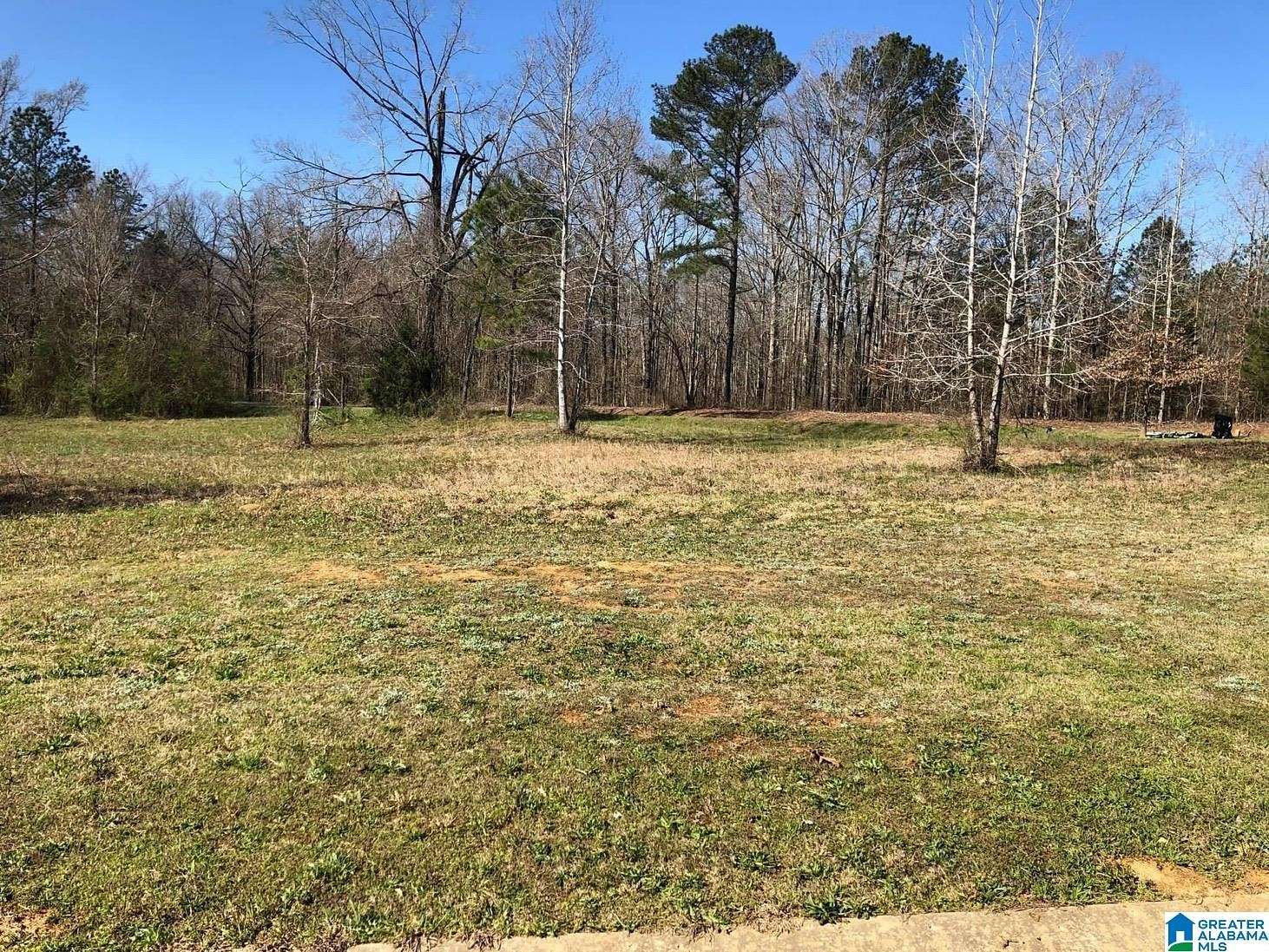 54.15 Acres of Land for Sale in Warrior, Alabama