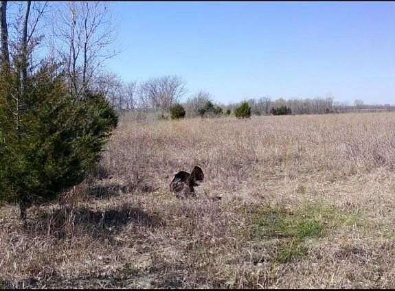 19.72 Acres of Recreational Land for Sale in Louisburg, Kansas