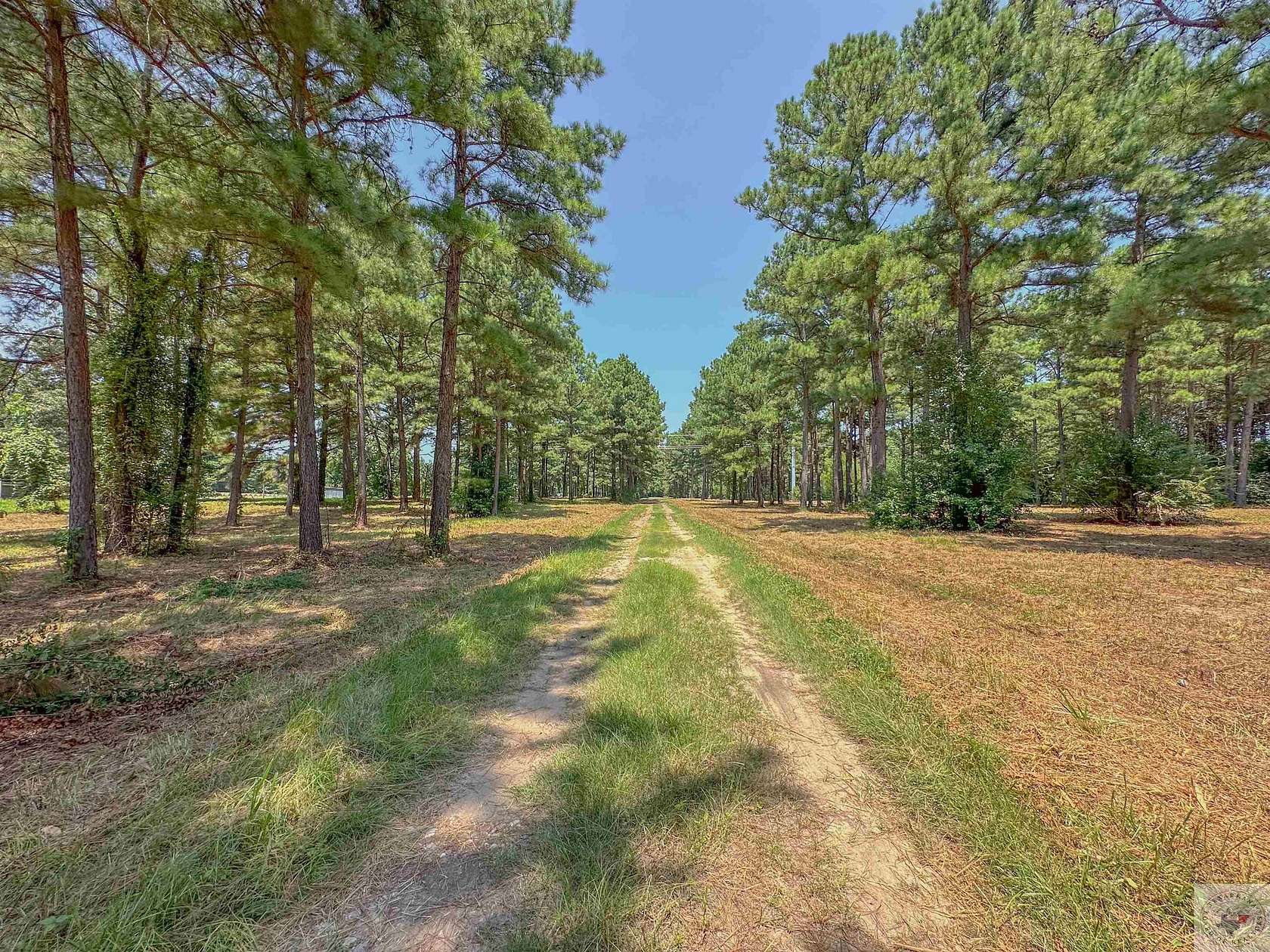 6.5 Acres of Residential Land for Sale in De Kalb, Texas