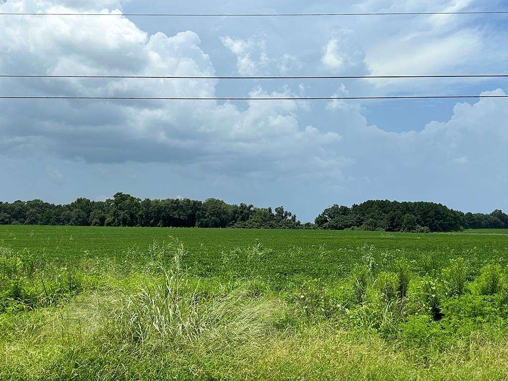 76.47 Acres of Agricultural Land for Sale in Dothan, Alabama