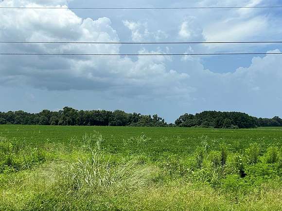 76.47 Acres of Agricultural Land for Sale in Dothan, Alabama