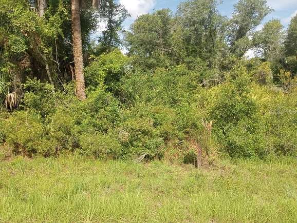 0.23 Acres of Residential Land for Sale in Port Charlotte, Florida