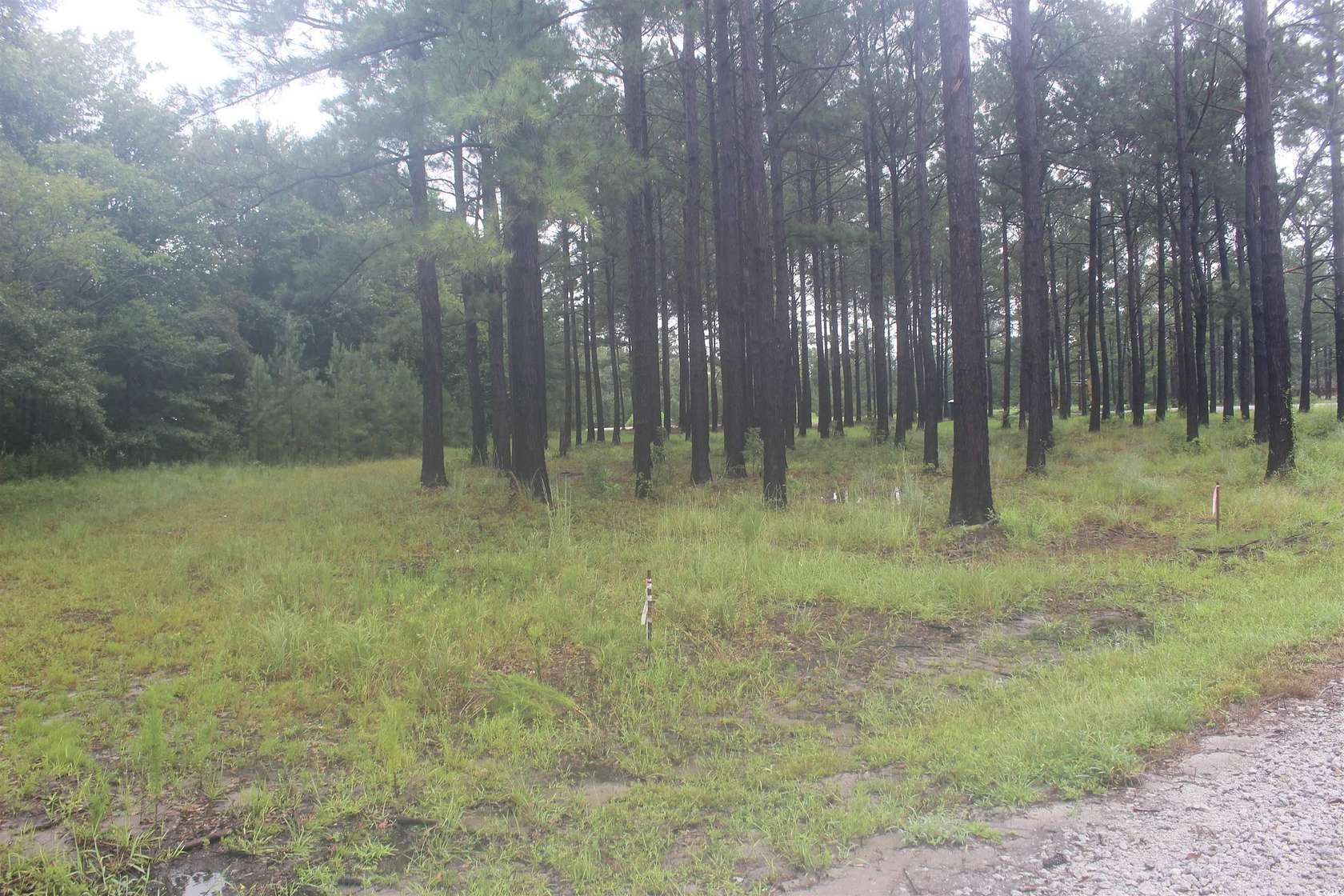 1.01 Acres of Residential Land for Sale in Loris, South Carolina