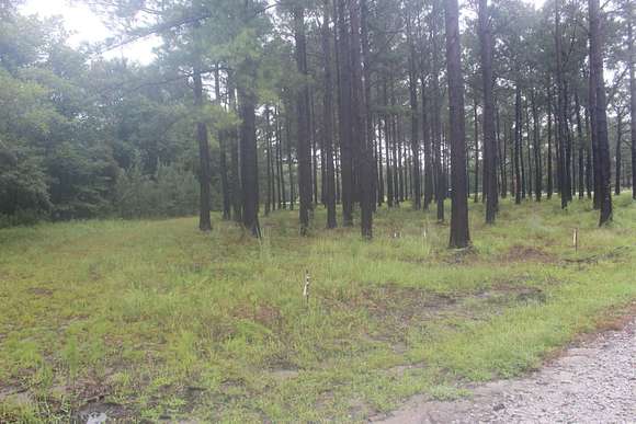 1.01 Acres of Residential Land for Sale in Loris, South Carolina