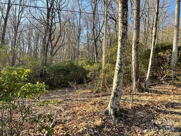 0.63 Acres of Residential Land for Sale in Hendersonville, North Carolina