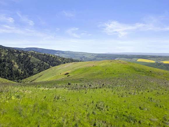 46.07 Acres of Land for Sale in Culdesac, Idaho