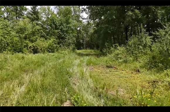 25 Acres of Recreational Land for Sale in Detroit, Texas