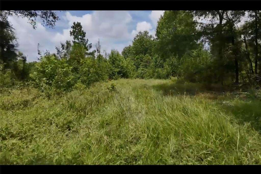 25 Acres of Recreational Land for Sale in Detroit, Texas