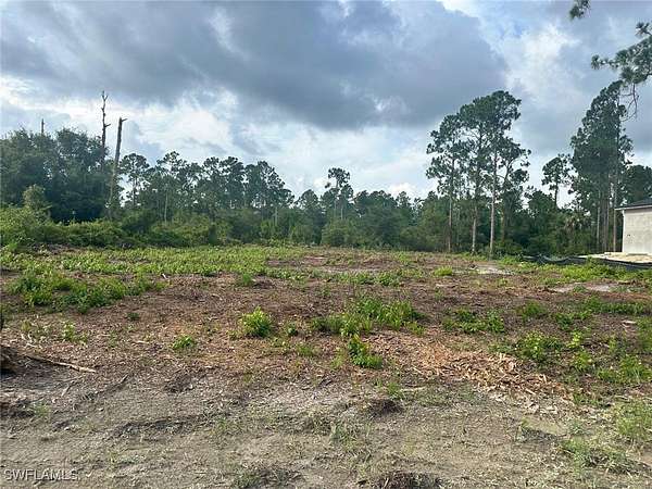 0.31 Acres of Land for Sale in Lehigh Acres, Florida