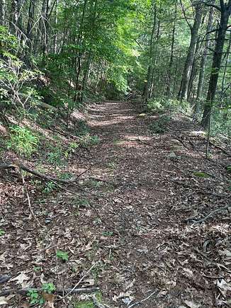 6.02 Acres of Land for Sale in Max Meadows, Virginia