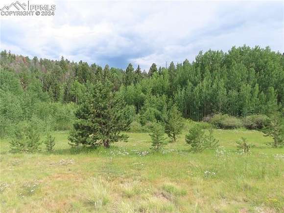 1.31 Acres of Land for Sale in Florissant, Colorado